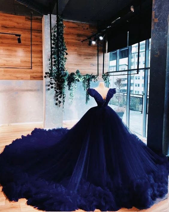 Charming Navy Blue V Neck Ball Gown Sweet 16 Dress Y6562