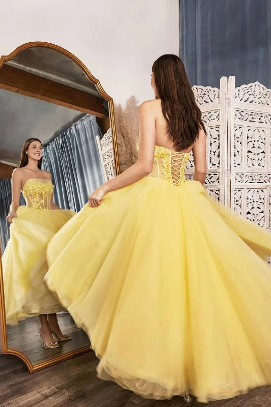 Seasonal Clearance Yellow Strapless Tulle Lace High Low Prom Dress